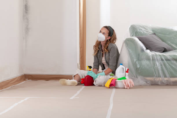 Reliable Mold Testing contractor in Batavia, NY by WQB Mold Removal